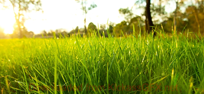 手机短信轰在线轰炸免费